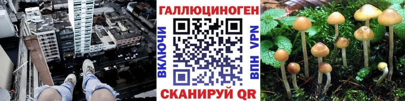 наркота  Советская Гавань  Галлюциногенные грибы мухоморы 